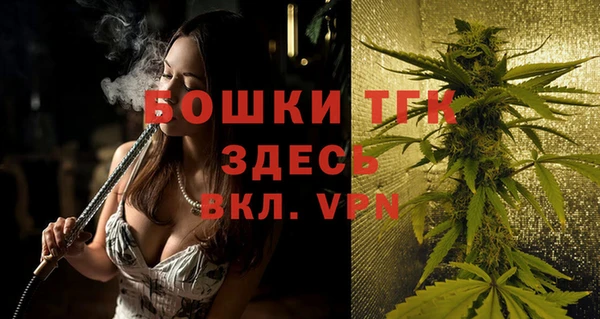 дмт Новодвинск