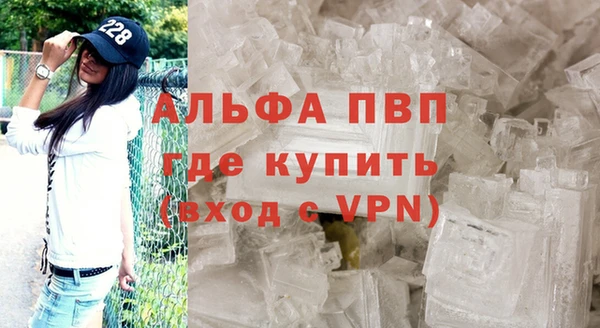 дмт Новодвинск