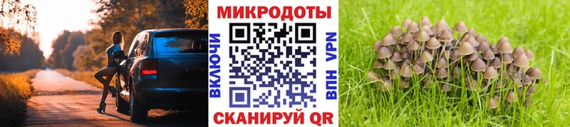 где купить наркоту  Малаховка  Галлюциногенные грибы Psilocybe 